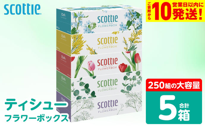 【スコッティ】 ティシュー フラワーボック