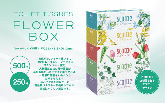 熊本県八代市のふるさと納税 【スコッティ】 ティシュー フラワーボックス 250組 5箱  ティッシュ 日用品 生活必需品 防災備蓄 ストック 備蓄 新生活 防災 消耗品 生活用品 日用消耗品 箱ティッシュ