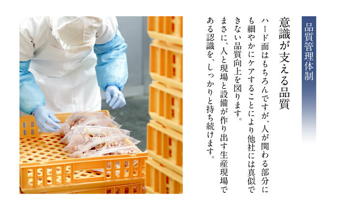 熊本県八代市のふるさと納税 【セゾン限定】熊本県産 あか牛ハンバーグ 960g (120g×8個)