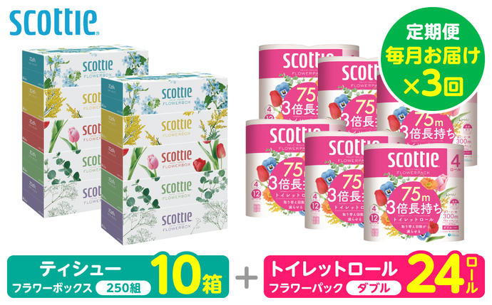 熊本県八代市のふるさと納税 【定期便3回】【毎月お届け】【スコッティ】 組み合わせ ティシュー フラワーボックス 250組 10箱 計30箱 トイレットロール ダブル フラワーパック 3倍長持ち 24ロール 計72ロール ティッシュ トイレットペーパー 日用品 防災備蓄 ストック 備蓄 新生活 防災 消耗品 生活用品 日用消耗品 箱ティッシュ