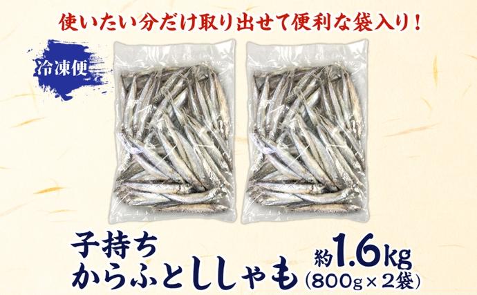子持ちからふとししゃも 約1.6kg(800g×2) 樺太 魚シシャモ メス