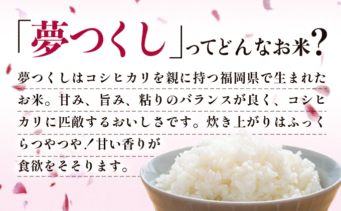 福岡県大木町のふるさと納税 令和7年産 福岡県産米 夢つくし 5kg 精米 ※北海道・沖縄・離島は配送不可 CY008_01