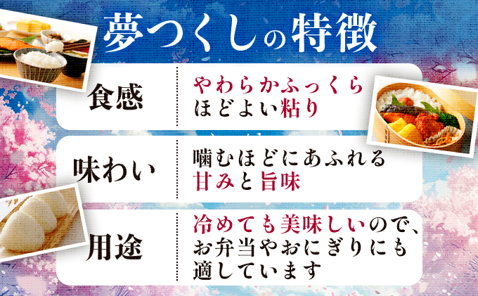 福岡県大木町のふるさと納税 令和7年産 福岡県産米 夢つくし 10kg 精米 ※北海道・沖縄・離島は配送不可 CY009_01