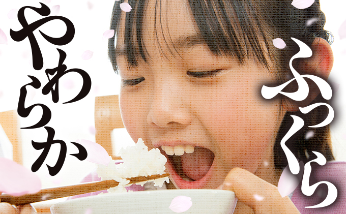 福岡県大木町のふるさと納税 令和7年産 福岡県産米 夢つくし 10kg 精米 ※北海道・沖縄・離島は配送不可 CY009_01