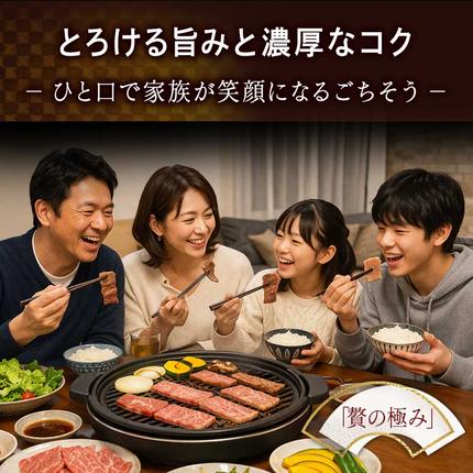 宮崎県都城市のふるさと納税 【A5】宮崎牛サーロイン焼肉用500g_AE-0106