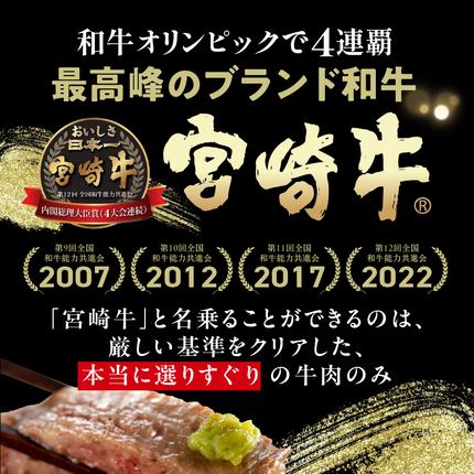 宮崎県都城市のふるさと納税 【数量限定】宮崎牛9種盛り焼肉セット_22-3101【肉 牛肉 人気 おすすめ 焼き肉 焼肉 BBQ】