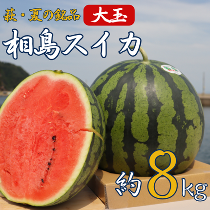 BE236 旬の野菜・フルーツ (12～14品目)・卵 (6個) おまかせ セット