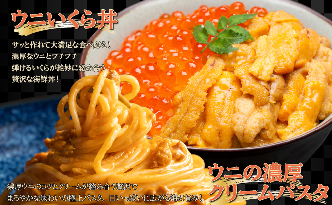 北海道伊達市のふるさと納税 訳あり 北海道 噴火湾産 塩水 バフンウニ 100g 1パック うに ウニ 雲丹 海鮮 海の幸 魚介類 ウニ丼 お寿司 濃厚 無添加 産地直送 お取り寄せ 山村水産 送料無料