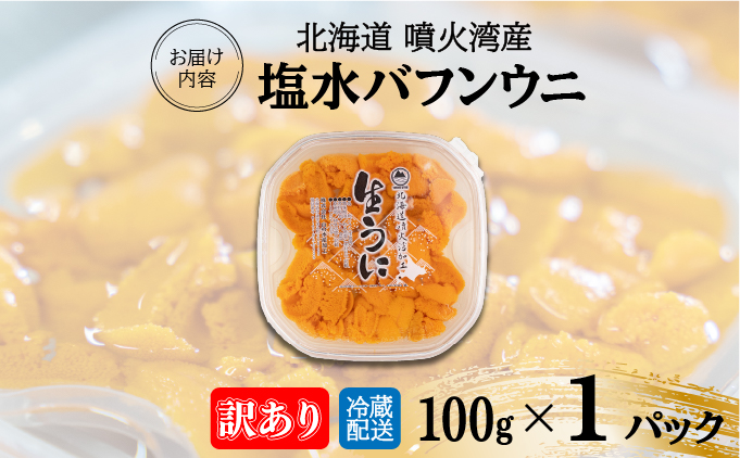 北海道伊達市のふるさと納税 訳あり 北海道 噴火湾産 塩水 バフンウニ 100g 1パック うに ウニ 雲丹 海鮮 海の幸 魚介類 ウニ丼 お寿司 濃厚 無添加 産地直送 お取り寄せ 山村水産 送料無料