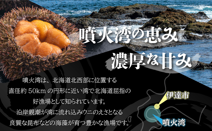 北海道伊達市のふるさと納税 訳あり 北海道 噴火湾産 塩水 バフンウニ 100g 2パック 計200g 《アフター保証付き》うに ウニ 雲丹 海鮮 海の幸 魚介類 ウニ丼 お寿司 濃厚 無添加 産地直送 お取り寄せ 山村水産 送料無料