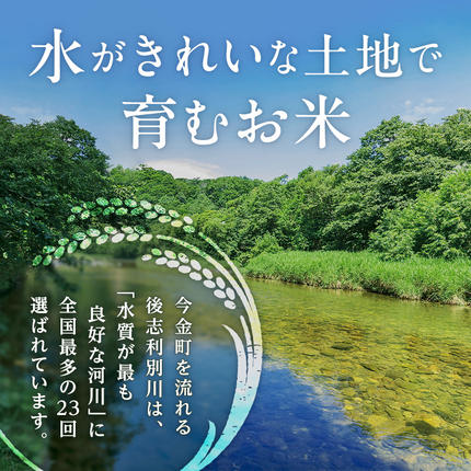 北海道今金町のふるさと納税 令和6年産 ふっくりんこ5kg 米 白米 米俵 F21W-413