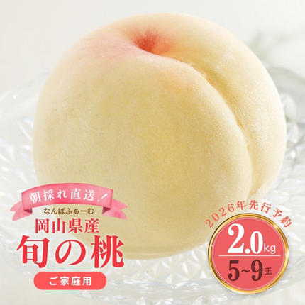 ＜数量限定＞［なんばふぁーむ］岡山県産 旬
