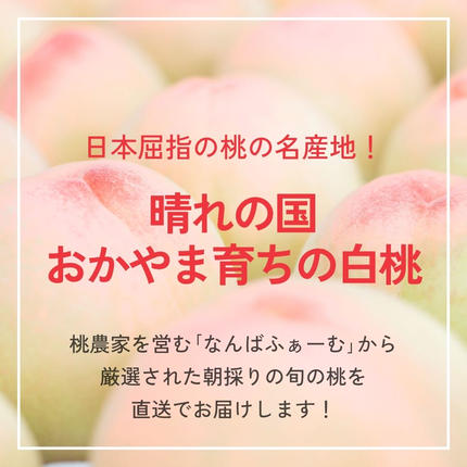 岡山県鏡野町のふるさと納税 ＜数量限定＞［なんばふぁーむ］岡山県産 旬の桃 2.0kg（5～9玉）［ご家庭用］【2026年発送】桃 もも モモ フルーツ 果物 ピーチ 完熟 朝採れ 朝採り 新鮮 旬 食べごろ 食べ頃 岡山産 産地直送 産直 特産 特産品 送料無料  岡山県 鏡野町