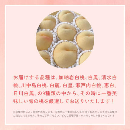 岡山県鏡野町のふるさと納税 ＜数量限定＞［なんばふぁーむ］岡山県産 旬の桃 2.0kg（5～9玉）［ご家庭用］【2026年発送】桃 もも モモ フルーツ 果物 ピーチ 完熟 朝採れ 朝採り 新鮮 旬 食べごろ 食べ頃 岡山産 産地直送 産直 特産 特産品 送料無料  岡山県 鏡野町
