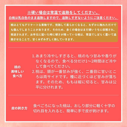 岡山県鏡野町のふるさと納税 ＜数量限定＞［なんばふぁーむ］岡山県産 旬の桃 2.0kg（5～9玉）［ご家庭用］【2026年発送】桃 もも モモ フルーツ 果物 ピーチ 完熟 朝採れ 朝採り 新鮮 旬 食べごろ 食べ頃 岡山産 産地直送 産直 特産 特産品 送料無料  岡山県 鏡野町