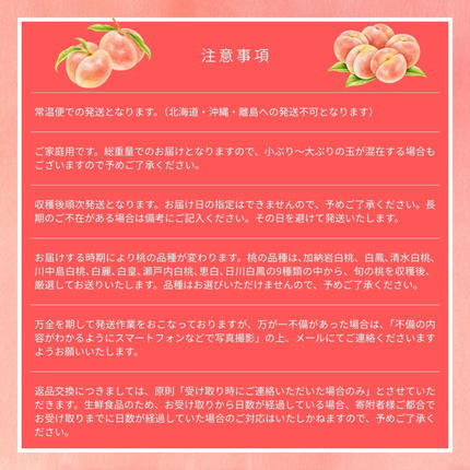 岡山県鏡野町のふるさと納税 ＜数量限定＞［なんばふぁーむ］岡山県産 旬の桃 2.0kg（5～9玉）［ご家庭用］【2026年発送】桃 もも モモ フルーツ 果物 ピーチ 完熟 朝採れ 朝採り 新鮮 旬 食べごろ 食べ頃 岡山産 産地直送 産直 特産 特産品 送料無料  岡山県 鏡野町