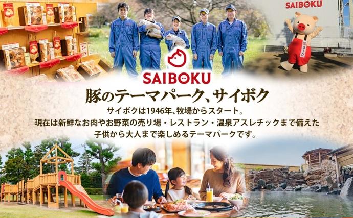 埼玉県日高市のふるさと納税 サイボク ゴールデンポーク ハンバーグ セット ギフト 贈り物 こだわり 豚肉 ゴールデンポーク 加工品 簡単調理 おつまみ おかず お弁当 朝食 定番 サイボク 埼玉県 日高市
