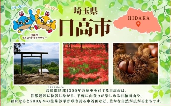 埼玉県日高市のふるさと納税 サイボク ゴールデンポーク ハンバーグ セット ギフト 贈り物 こだわり 豚肉 ゴールデンポーク 加工品 簡単調理 おつまみ おかず お弁当 朝食 定番 サイボク 埼玉県 日高市