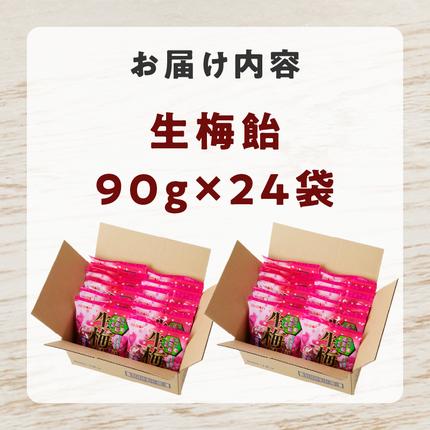 生梅飴 梅飴 梅キャンディ 紀州の南高梅 梅肉エキス ペースト お菓子