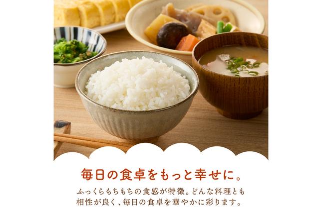 福岡県飯塚市のふるさと納税 【令和7年産】農薬・化学肥料不使用 真ちゃん米 5kg【B7-036】