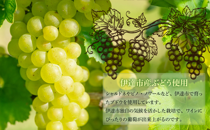 北海道伊達市のふるさと納税 北海道 伊達スパークリングワイン 750ml 1本 2024年産 限定醸造 スパークリングワイン ワイン 葡萄 ぶどう ブドウ 醸造 ヴィンテージ 白ワイン お酒 酒 アルコール 発泡酒 シャルドネ ピノ・ノワール 晩酌