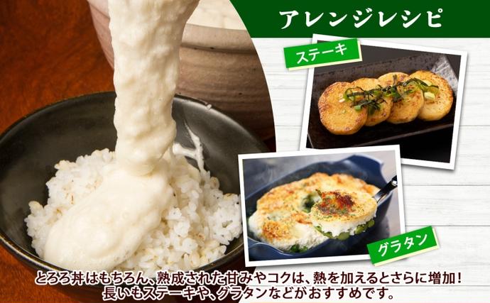 北海道洞爺湖町のふるさと納税 北海道産 長いも 春夏出荷 約10kg 2026年5月上旬～6月下旬頃お届け 長芋 ながいも とろろ 農作物 野菜 新鮮 根菜  山かけ 産地直送 お取り寄せ 送料無料 冷蔵 北海道 洞爺湖町