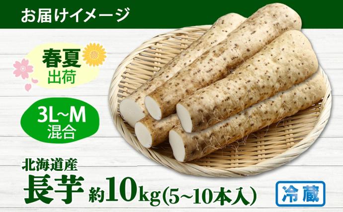 北海道洞爺湖町のふるさと納税 北海道産 長いも 春夏出荷 約10kg 2026年5月上旬～6月下旬頃お届け 長芋 ながいも とろろ 農作物 野菜 新鮮 根菜  山かけ 産地直送 お取り寄せ 送料無料 冷蔵 北海道 洞爺湖町