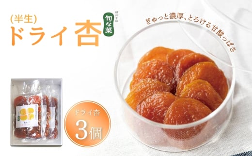 長野県千曲市のふるさと納税 酸味とおいしさそのまま ドライ杏 (半生) 3個 ｜ドライあんず 半生ドライフルーツ 果物 長野県産 信州 千曲市