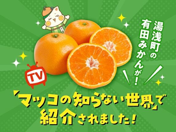 和歌山県湯浅町のふるさと納税 MK1044_2月28日終了！ 最短出荷すぐ届く！みかん Ｍサイズ 秀品 箱込 5kg ( 内容量 4.4kg ) 有田みかん 和歌山県産 産地直送 贈答用 【みかんの会】