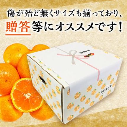 和歌山県湯浅町のふるさと納税 MK1044_2月28日終了！ 最短出荷すぐ届く！みかん Ｍサイズ 秀品 箱込 5kg ( 内容量 4.4kg ) 有田みかん 和歌山県産 産地直送 贈答用 【みかんの会】