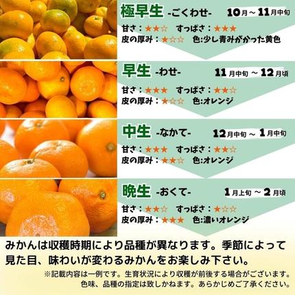 和歌山県湯浅町のふるさと納税 MK1044_2月28日終了！ 最短出荷すぐ届く！みかん Ｍサイズ 秀品 箱込 5kg ( 内容量 4.4kg ) 有田みかん 和歌山県産 産地直送 贈答用 【みかんの会】