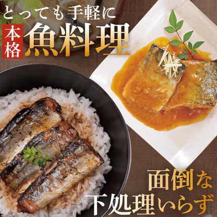 宮城県気仙沼市のふるさと納税 三陸食堂 煮魚 惣菜 セット 10種 12パック [阿部長商店 宮城県 気仙沼市 20565443] 簡単調理 レトルト 魚 レンジ 長期保存 魚料理 和食 常温保存 さんま いわし さば ぶり かつお 蒲焼 味噌煮 つみれ汁 和食 常温保存 個包装