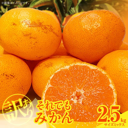 和歌山県湯浅町のふるさと納税 訳あり それでも みかん 箱込 2.5kg ( 内容量 2.3kg ) サイズミックス Ｂ品 有田みかん 和歌山県産 産地直送 家庭用【みかんの会】_MK1048