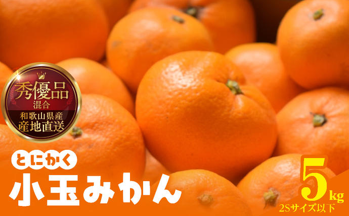 MK1040_【2026年先行予約】みかん