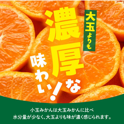 和歌山県湯浅町のふるさと納税 MK1040_【2026年先行予約】みかん とにかく 小玉 箱込 5kg ( 内容量 4.4kg ) 2Sサイズ以下 秀品 優品 混合 有田みかん 和歌山県産 産地直送 【みかんの会】