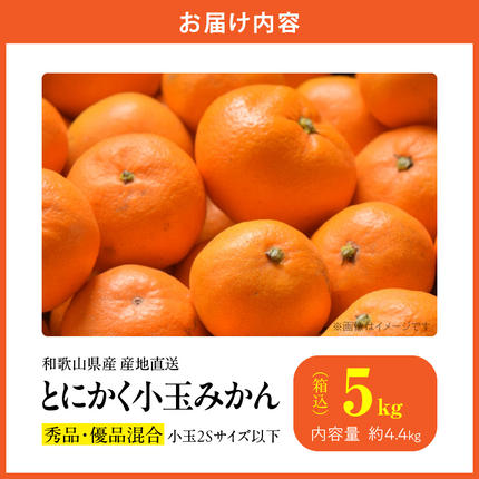 和歌山県湯浅町のふるさと納税 MK1040_【2026年先行予約】みかん とにかく 小玉 箱込 5kg ( 内容量 4.4kg ) 2Sサイズ以下 秀品 優品 混合 有田みかん 和歌山県産 産地直送 【みかんの会】