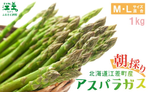 ＼春アスパラ 先行予約 2026年4月〜順次出荷予定/北海道江差町産 アスパラガス[M〜Lサイズ] 1kg 30〜40本 朝採り 農家直送 新鮮 鮮度保持 北海道 旬野菜 グリーンアスパラ アスパラガス ギフト 贈答