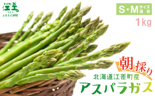 ＼夏アスパラ 先行予約受付中/北海道江差町産 アスパラガス[S〜Mサイズ] 1kg 40〜50本 朝採り 農家直送 新鮮 鮮度保持 北海道 旬野菜 グリーンアスパラ アスパラ ギフト 贈答