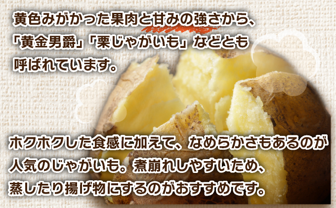 先行予約＞北海道産 じゃがいも(北あかり) 約5kg | ジャガイモ 馬鈴薯