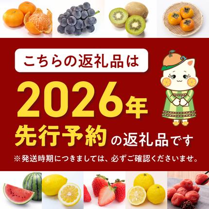 和歌山県湯浅町のふるさと納税 ZJ6079_【2026年先行予約】ご家庭用　和歌山 有田みかん 約10kg (2L、3Lサイズ)【湯浅町】