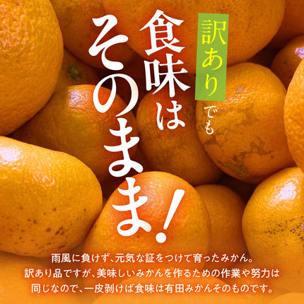 和歌山県湯浅町のふるさと納税 MK1085_訳あり【2026先行予約】 みかん 極早生 箱込 2.5kg ( 内容量 2.3kg ) サイズミックス 有田みかん 和歌山県産