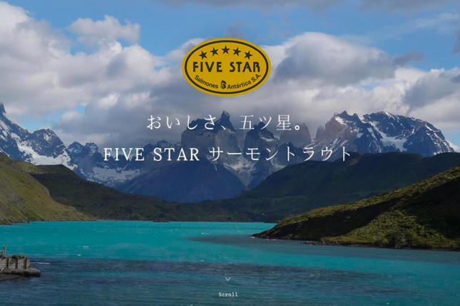 宮城県気仙沼市のふるさと納税 FIVE STAR ブランド 訳あり サーモン トラウト スライス 総重量 1kg 200g×5p [カネダイ 宮城県 気仙沼市 20565178] 魚 魚介類 刺身 小分け 冷凍 鮭 さけ 海鮮 切り落とし 生食用 真空パック さけ サケ 食品 生食 サーモントラウト 手巻き寿司 丼 海鮮丼 カルパッチョ 個包装 お刺身