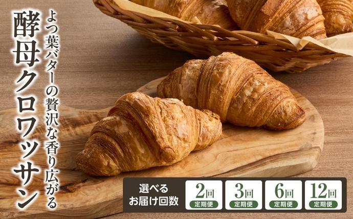【定期便】よつ葉バターの贅沢な香り広がる♪