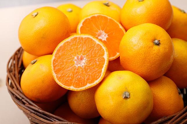 光センサー選別／極 有田みかんプレミアム 約2kg【光センサー 高糖度