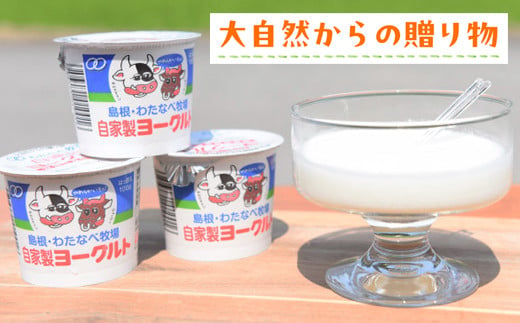 島根県安来市のふるさと納税 わたなべ牧場のヨーグルトセット 24個入【ヨーグルト 加糖 牧場 生乳 こだわり 甘み 搾りたて 安心 自然派 化学合成物質不使用 島根県 安来市】
