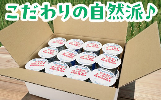 島根県安来市のふるさと納税 わたなべ牧場のヨーグルトセット 24個入【ヨーグルト 加糖 牧場 生乳 こだわり 甘み 搾りたて 安心 自然派 化学合成物質不使用 島根県 安来市】