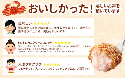 島根県安来市のふるさと納税 【定期便】山陰ごほうびコロッケ16個入 隔月3回【80g 16個 カニ クリーム コロッケ ごほうび ごちそう 美味しい パーティー おもてなし 人気 簡単 時短 タイムパフォーマンス 小分け べにずわいがに ズワイガニ とろとろ 定期便 冷凍 おかず 惣菜 島根県 安来市】【価格変更】