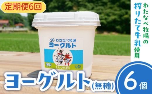 島根県安来市のふるさと納税 【定期便6回】ヨーグルト500ｇ（プレーン）6個セット【無糖 ネッカ牛乳 ノンホモ製法 セット 搾りたて 栄養 こだわり おやつ デザート 朝食 スイーツ 自然派 化学合成物質不使用 安心 乳製品 乳酸菌 腸活 健康 定期便 島根県 安来市】
