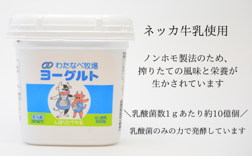島根県安来市のふるさと納税 【定期便6回】ヨーグルト500ｇ（プレーン）6個セット【無糖 ネッカ牛乳 ノンホモ製法 セット 搾りたて 栄養 こだわり おやつ デザート 朝食 スイーツ 自然派 化学合成物質不使用 安心 乳製品 乳酸菌 腸活 健康 定期便 島根県 安来市】