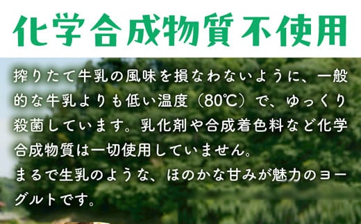 島根県安来市のふるさと納税 【定期便6回】ヨーグルト500ｇ（プレーン）6個セット【無糖 ネッカ牛乳 ノンホモ製法 セット 搾りたて 栄養 こだわり おやつ デザート 朝食 スイーツ 自然派 化学合成物質不使用 安心 乳製品 乳酸菌 腸活 健康 定期便 島根県 安来市】